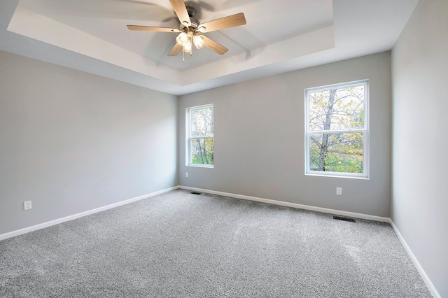 spare room featuring a tray ceiling, ceiling fan, plenty of natural light, and carpet