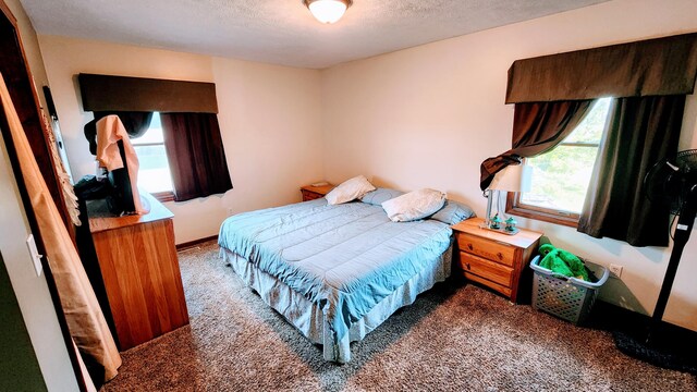 12448 Jefferson Rd, Morley, MI 49336 - carpeted bedroom with a textured ceiling