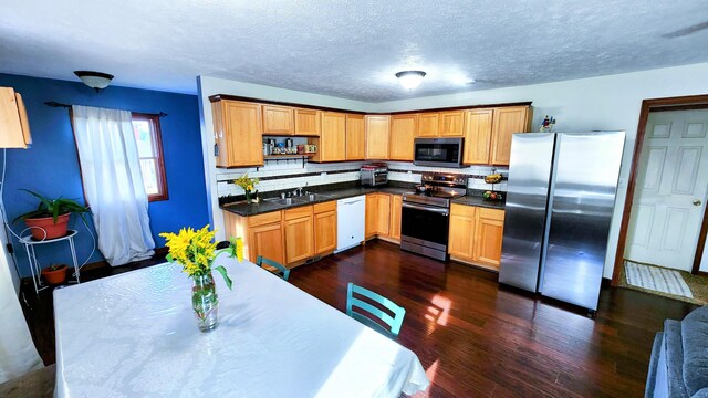 12448 Jefferson Rd, Morley, MI 49336 - kitchen featuring stainless steel appliances, dark wood-type flooring, a sink, decorative backsplash, and a textured ceiling