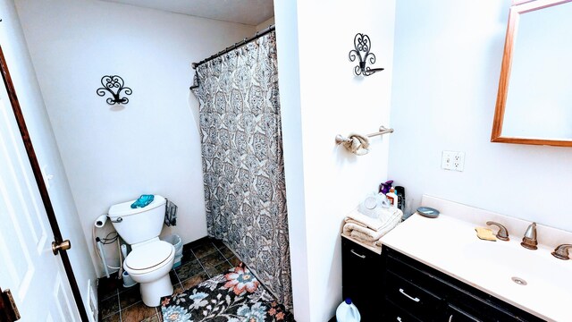 12448 Jefferson Rd, Morley, MI 49336 - full bath featuring toilet, vanity, stone finish flooring, and a shower with curtain