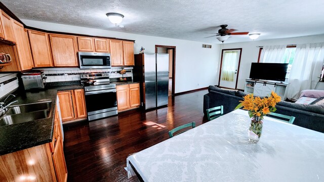 12448 Jefferson Rd, Morley, MI 49336 - kitchen featuring stainless steel appliances, open floor plan, a sink, dark wood-type flooring, and ceiling fan