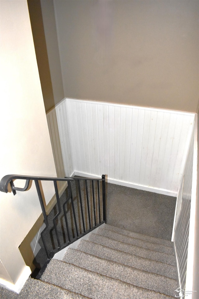 stairway featuring carpet floors