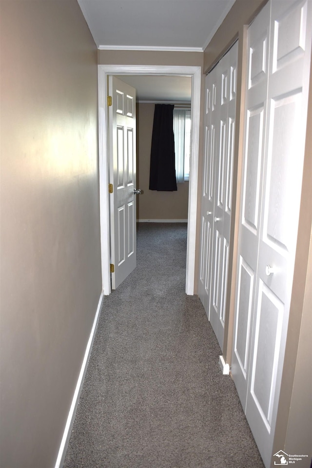 hallway with crown molding and carpet