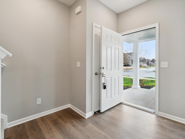 foyer with wood-type flooring