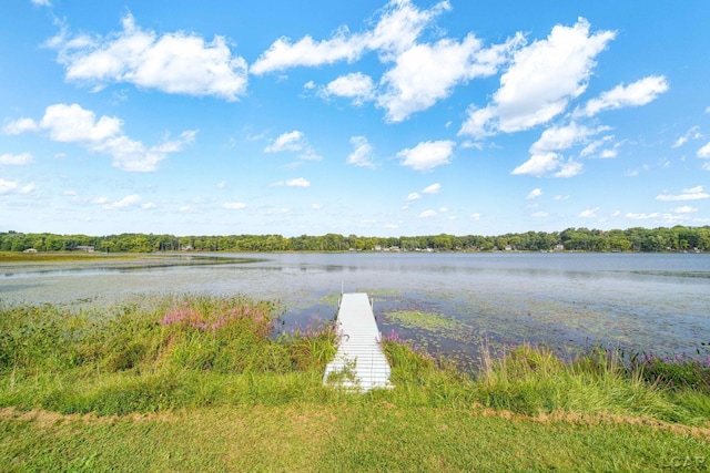 624 Fishermans Wharf, Horton, MI 49246 - water view