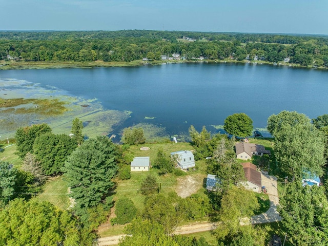 624 Fishermans Wharf, Horton, MI 49246 - bird's eye view of a large body of water and a forest