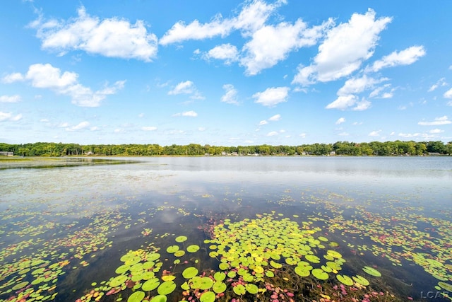 property view of water