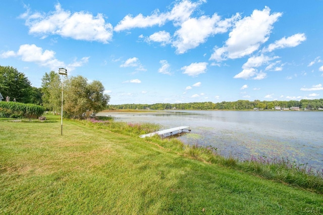 624 Fishermans Wharf, Horton, MI 49246 - water view
