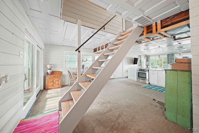 stairs with carpet and wooden walls