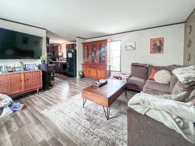 living room with hardwood / wood-style floors