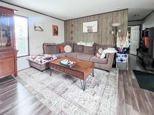 living room featuring wood-type flooring