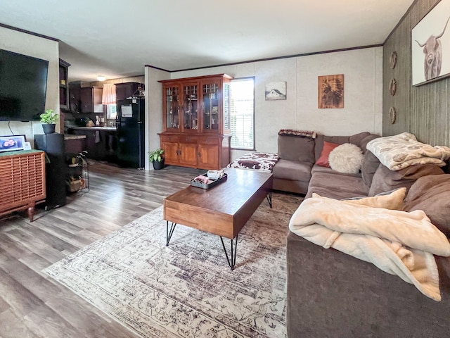 living room featuring wood-type flooring