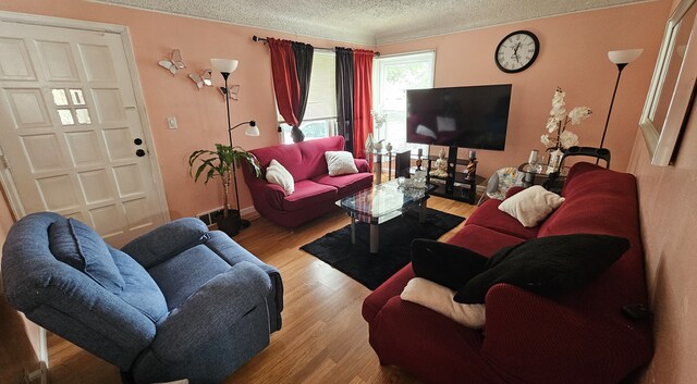 5817 Winthrop Blvd, Flint, MI 48505 - living area featuring a textured ceiling and light wood-style flooring
