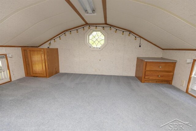 978 Timberlynn Trl, Sanford, MI 48657 - additional living space with lofted ceiling and carpet floors