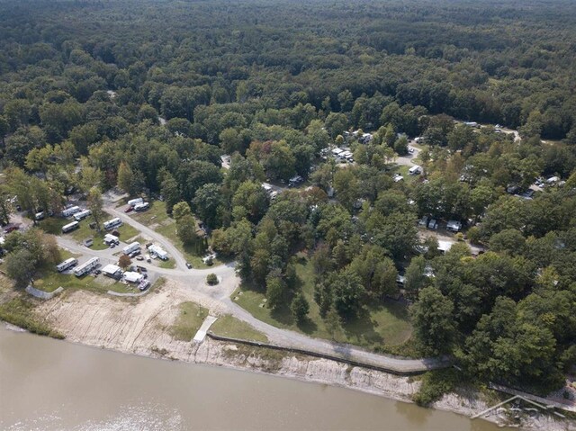 978 Timberlynn Trl, Sanford, MI 48657 - view of property location featuring a forest and a nearby body of water