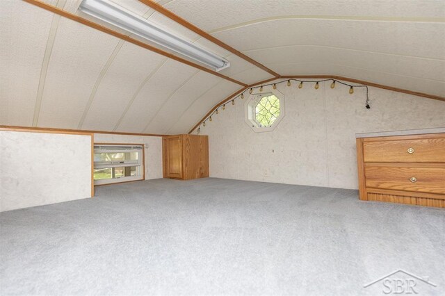 978 Timberlynn Trl, Sanford, MI 48657 - unfurnished living room featuring lofted ceiling and carpet