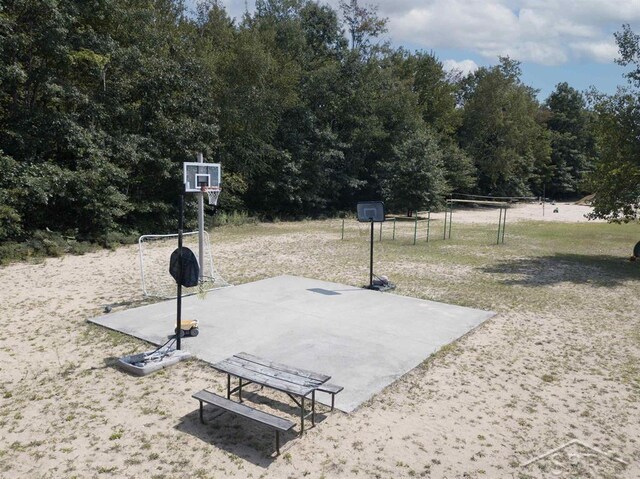 978 Timberlynn Trl, Sanford, MI 48657 - view of basketball court