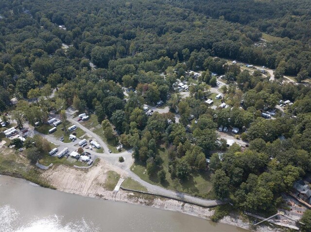 978 Timberlynn Trl, Sanford, MI 48657 - aerial view of property and surrounding area with a forest and a large body of water