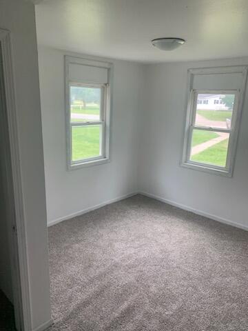 unfurnished room featuring light colored carpet and a healthy amount of sunlight