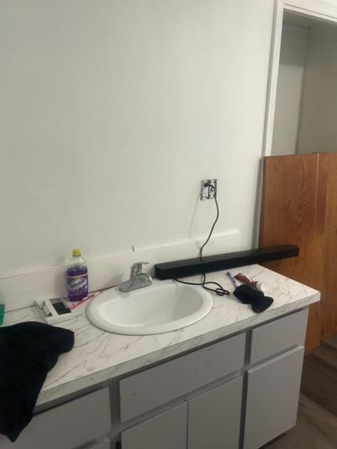 bathroom with hardwood / wood-style floors and vanity