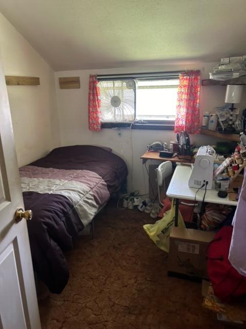 bedroom featuring carpet and lofted ceiling