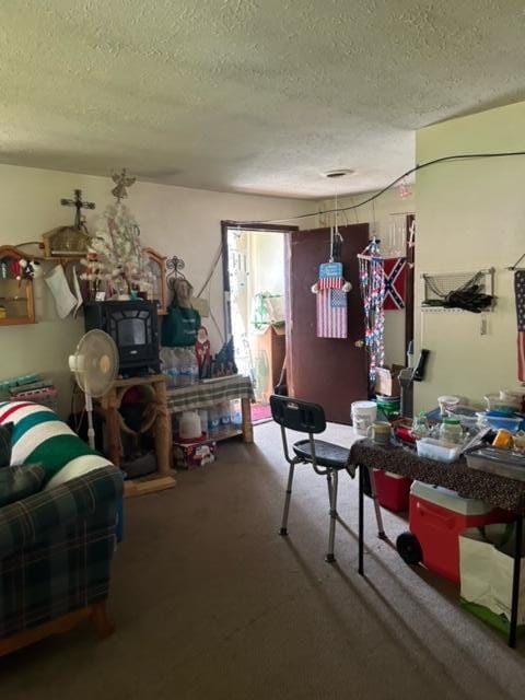 miscellaneous room with carpet flooring and a textured ceiling