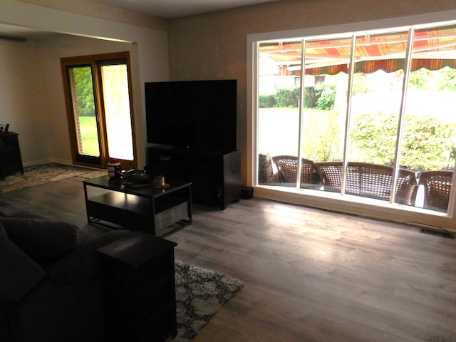 living room with a wealth of natural light and wood-type flooring