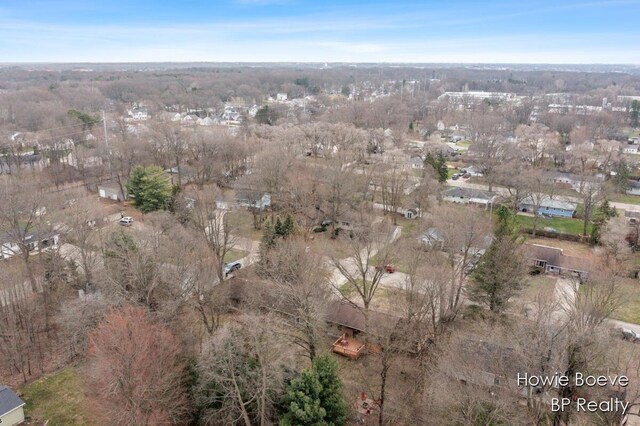 drone / aerial view