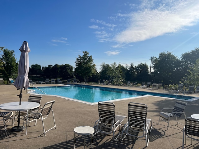 view of swimming pool with a patio