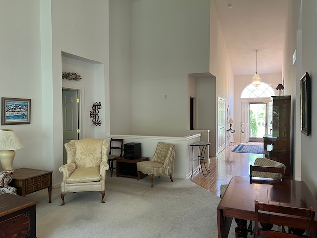 sitting room featuring light wood-type flooring and a high ceiling