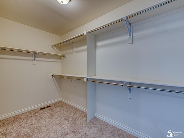 spacious closet featuring light colored carpet