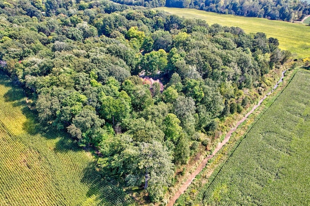 aerial view featuring a forest view