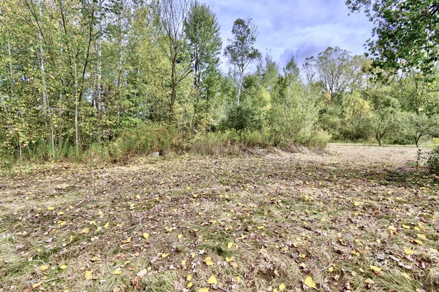 1401 S Miner Rd, Crystal, MI 48818 - view of local wilderness