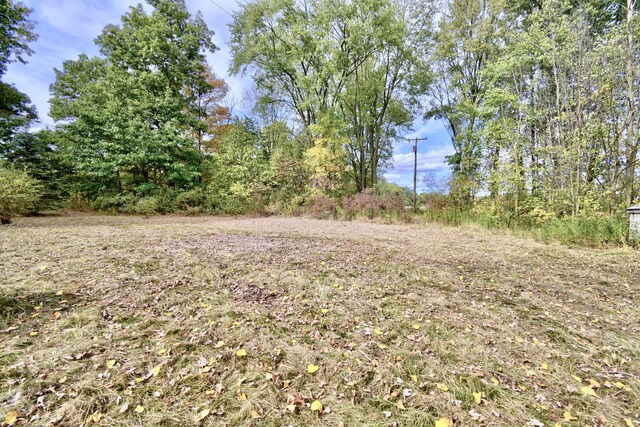 1401 S Miner Rd, Crystal, MI 48818 - view of yard