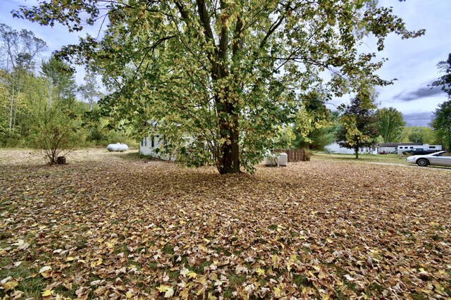 1401 S Miner Rd, Crystal, MI 48818 - view of yard