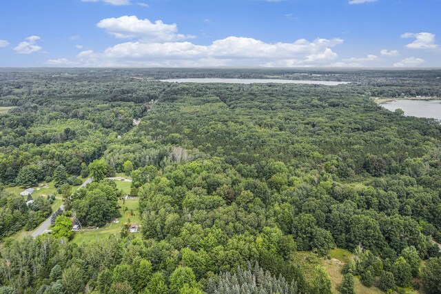 1722 N Benson Rd, Fountain, MI 49410 - bird's eye view of a heavily wooded area and a nearby body of water