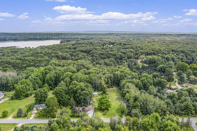 1722 N Benson Rd, Fountain, MI 49410 - aerial view of a heavily wooded area and a nearby body of water