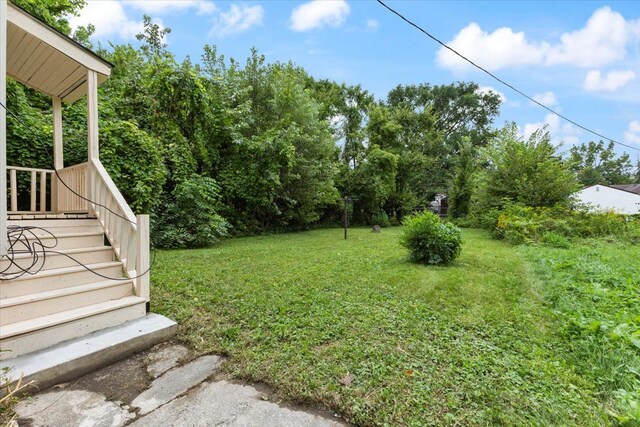 12048 Longview St, Detroit, MI 48213 - view of green lawn