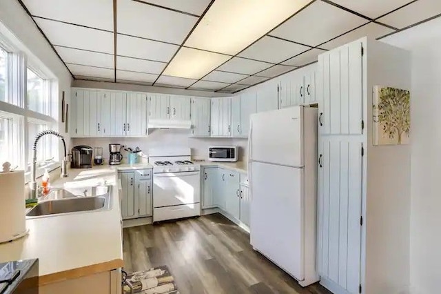 kitchen featuring white cabinetry, sink, a drop ceiling, dark wood-type flooring, and white appliances