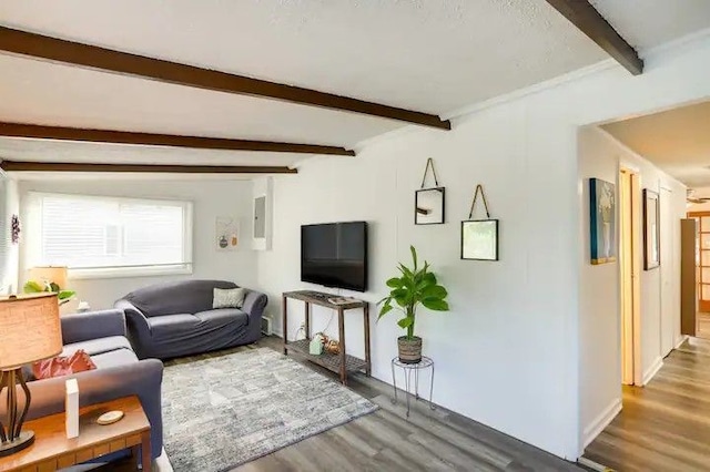 living room with beam ceiling and hardwood / wood-style flooring