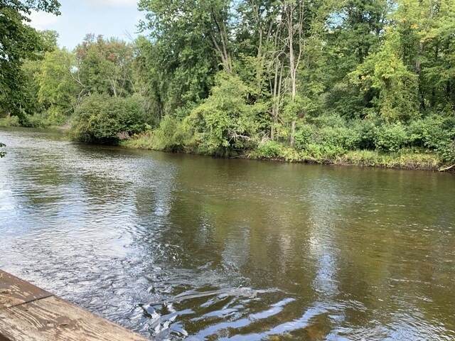 15070 Rapids Dr, Hersey, MI 49639 - water view featuring a heavily wooded area