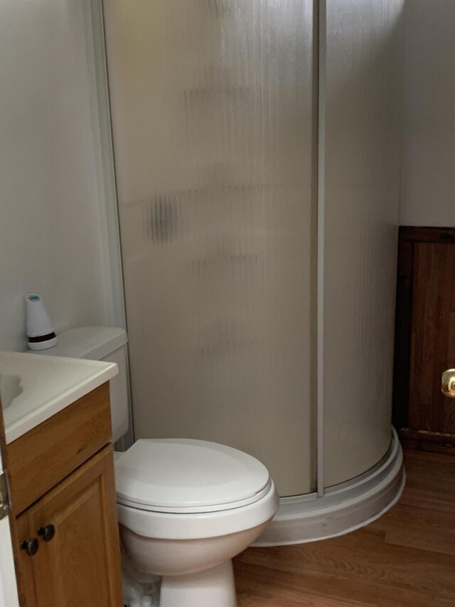 15070 Rapids Dr, Hersey, MI 49639 - full bath featuring a shower stall, vanity, wood finished floors, and toilet