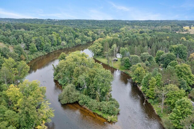 15070 Rapids Dr, Hersey, MI 49639 - aerial view of property's location featuring a forest and a large body of water