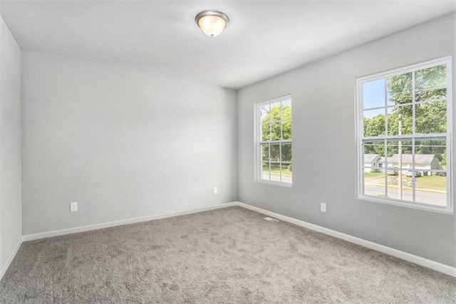 unfurnished room featuring carpet floors and plenty of natural light