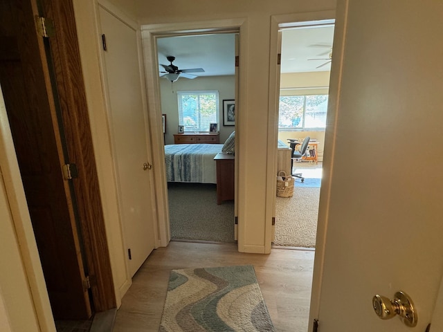 3437 3rd St Unit G, Trenton, MI 48183 - hall featuring light wood-type flooring