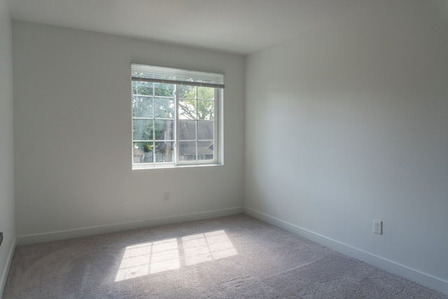 spare room with carpet floors