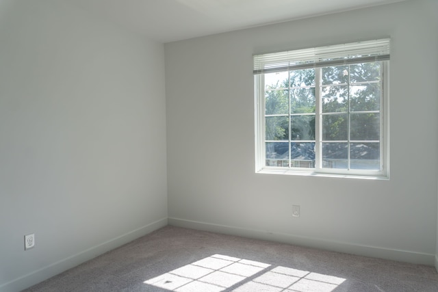 spare room with light colored carpet and a wealth of natural light