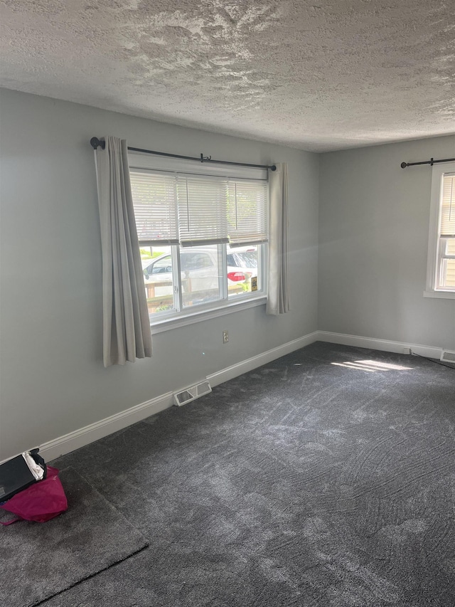 spare room with plenty of natural light, carpet floors, and a textured ceiling