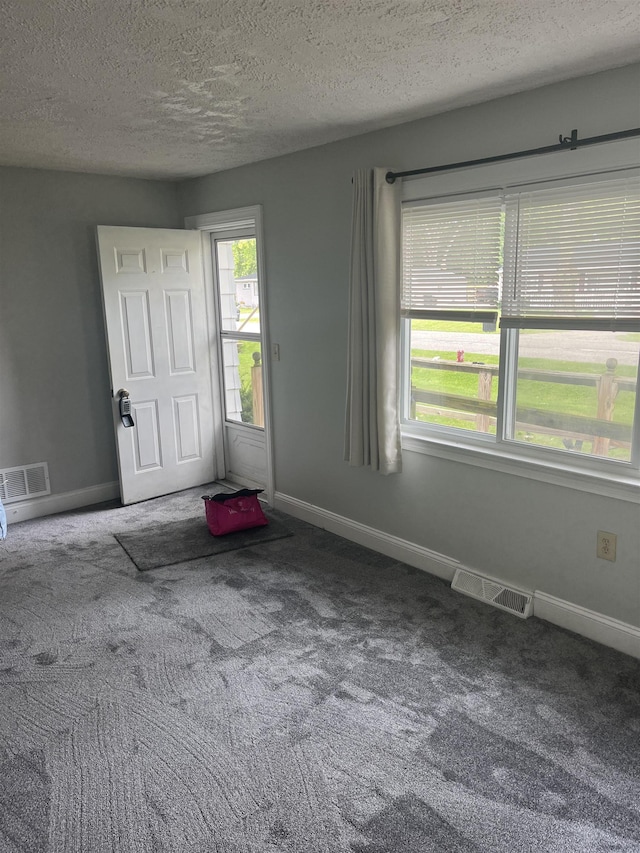 interior space featuring carpet flooring and a textured ceiling