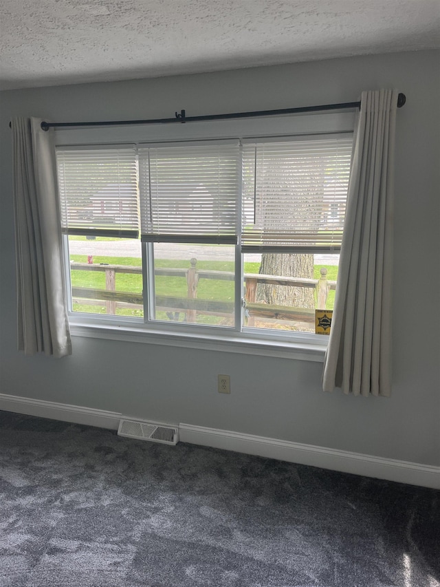 carpeted spare room with a textured ceiling and a healthy amount of sunlight